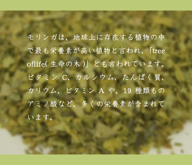 モリンガティー